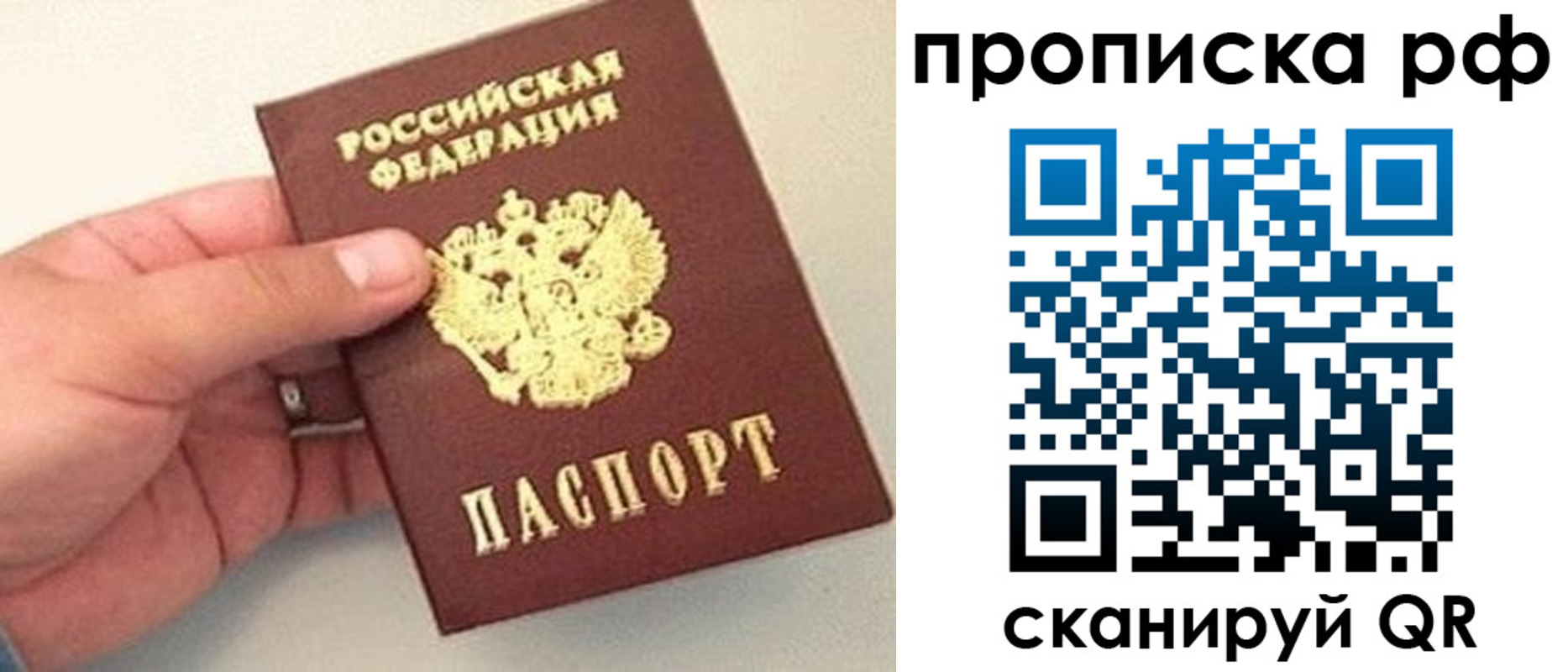 временная регистрация для всех в Дальнегорске